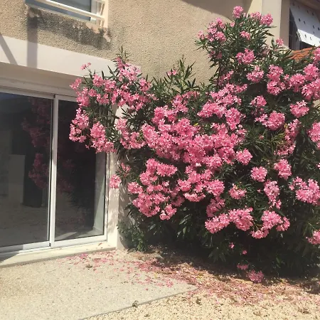 De La Foye - Le Magnolia * Combrand